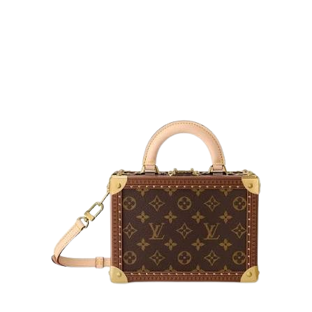 valise Luiviton